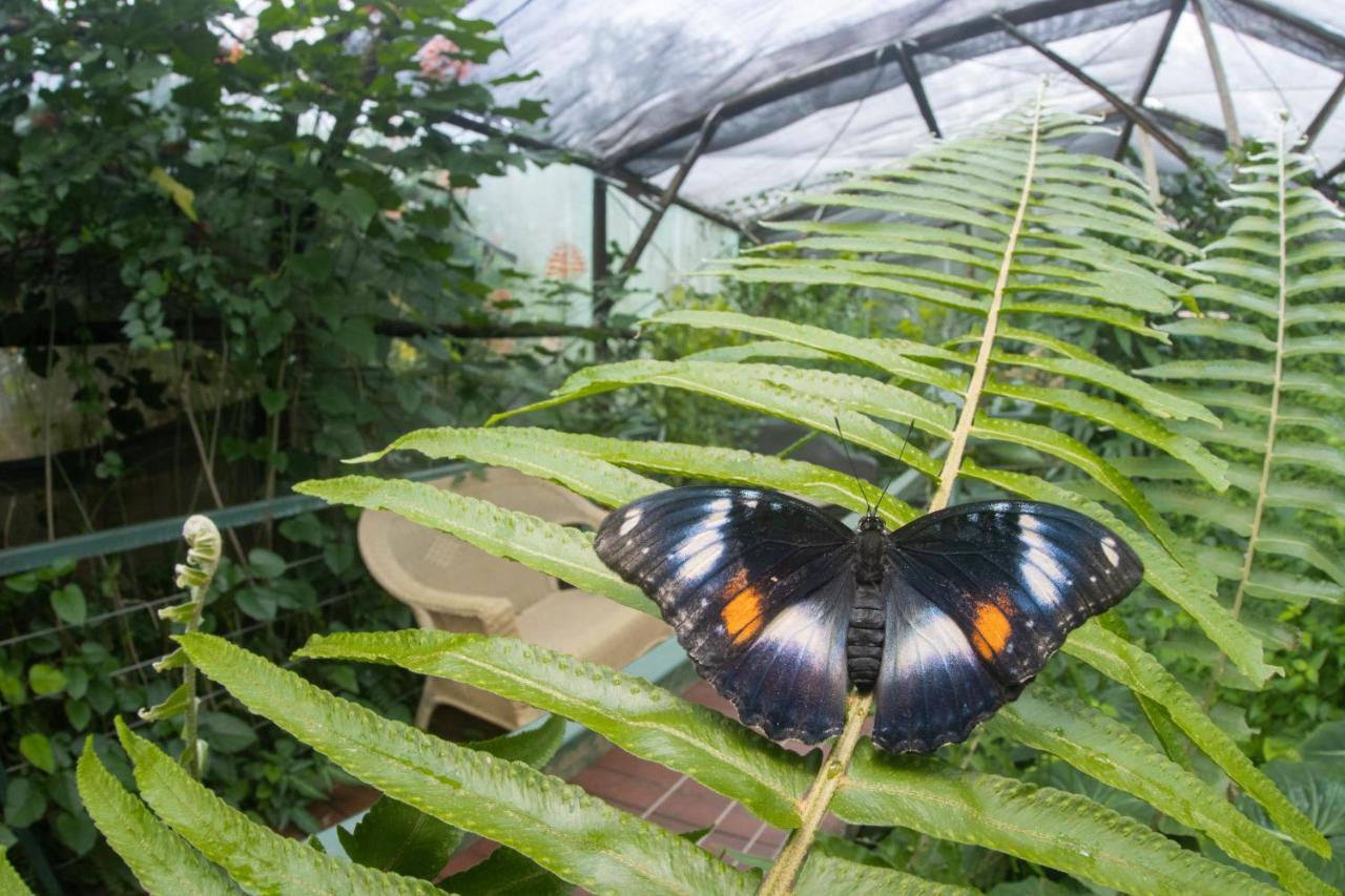 Batchelor Butterfly Farm Hotel Ngoại thất bức ảnh